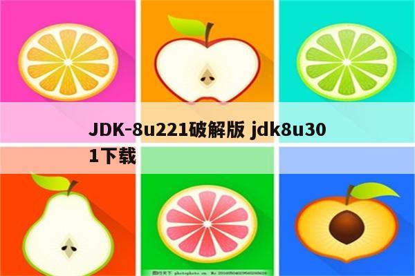 JDK-8u221破解版 jdk8u301下载