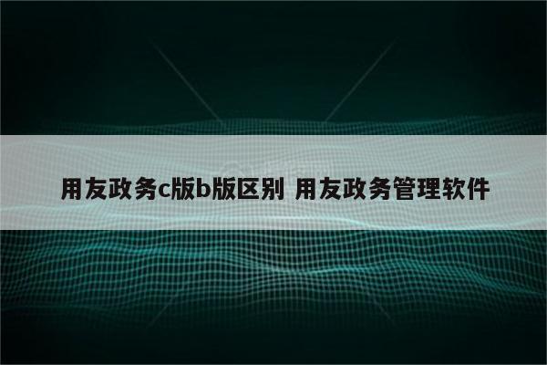 用友政务c版b版区别 用友政务管理软件