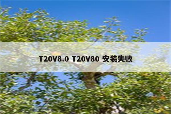 T20V8.0 T20V80 安装失败