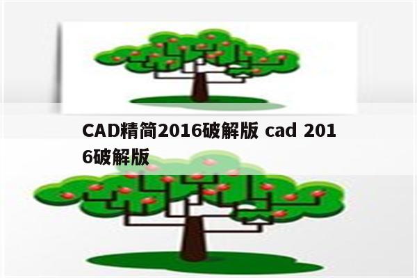 CAD精简2016破解版 cad 2016破解版