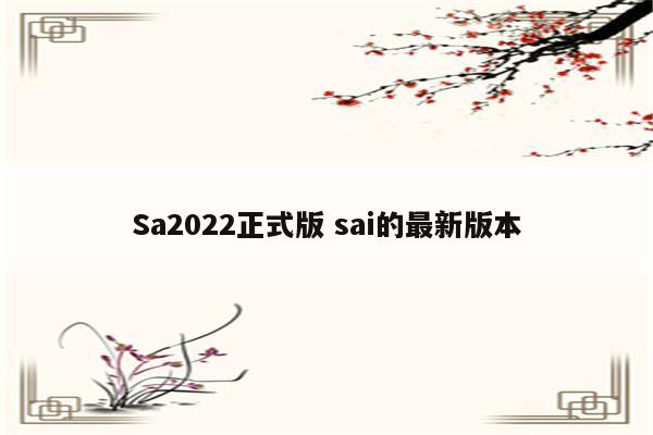 Sa2022正式版 sai的最新版本