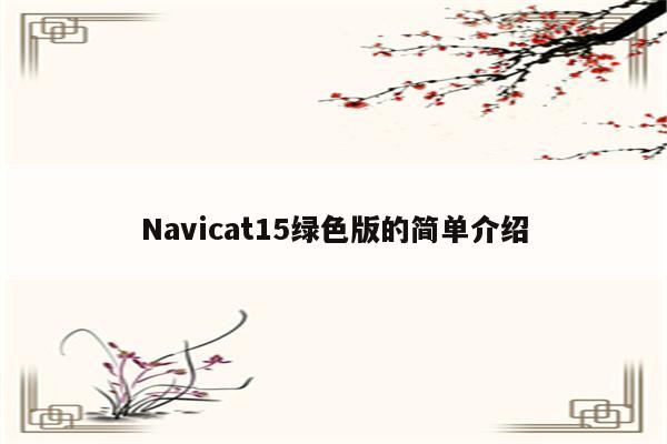 Navicat15绿色版的简单介绍