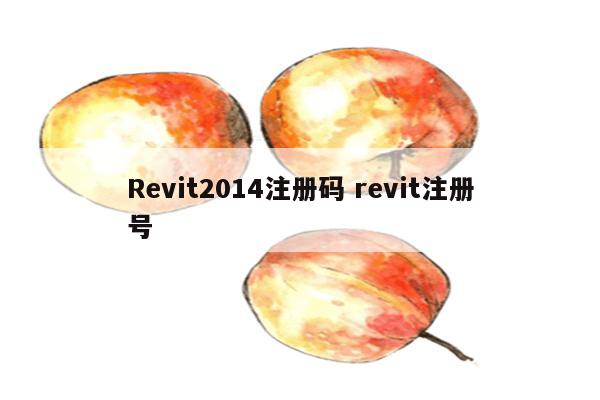 Revit2014注册码 revit注册号