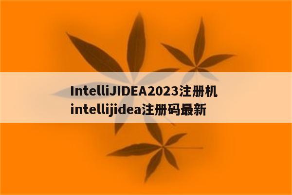 IntelliJIDEA2023注册机 intellijidea注册码最新