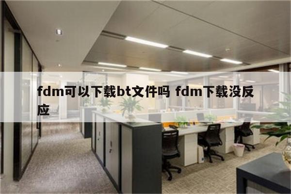 fdm可以下载bt文件吗 fdm下载没反应