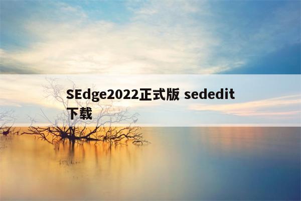 SEdge2022正式版 sededit下载