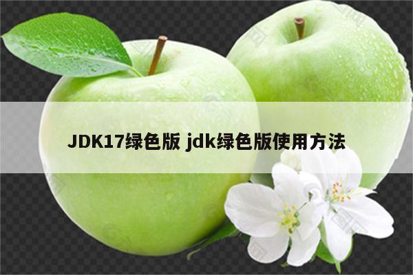 JDK17绿色版 jdk绿色版使用方法