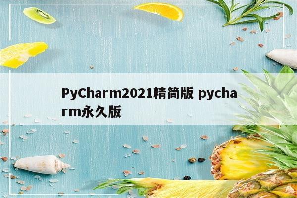 PyCharm2021精简版 pycharm永久版