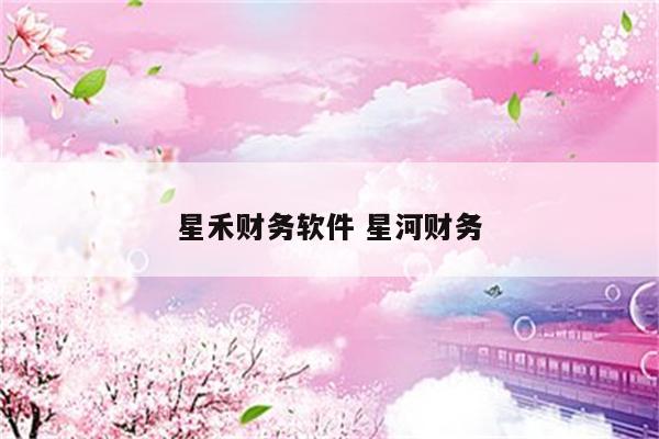 星禾财务软件 星河财务