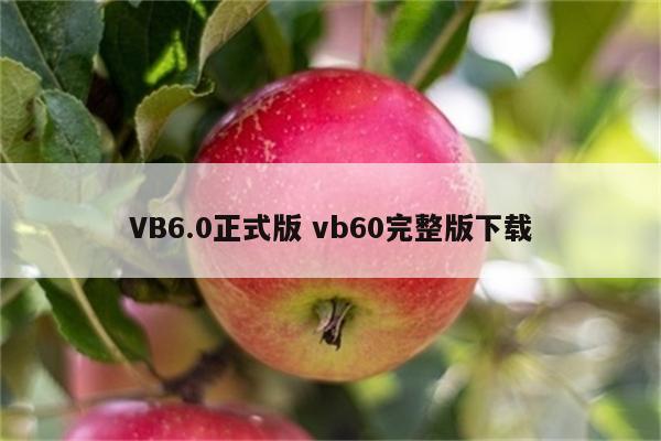 VB6.0正式版 vb60完整版下载