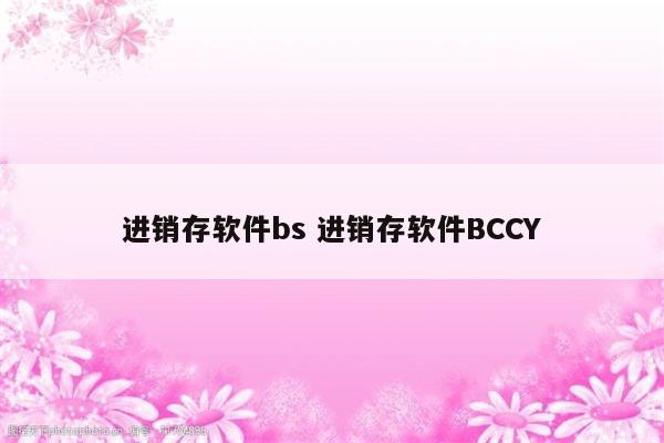 进销存软件bs 进销存软件BCCY