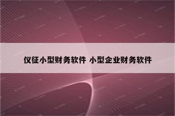 仪征小型财务软件 小型企业财务软件