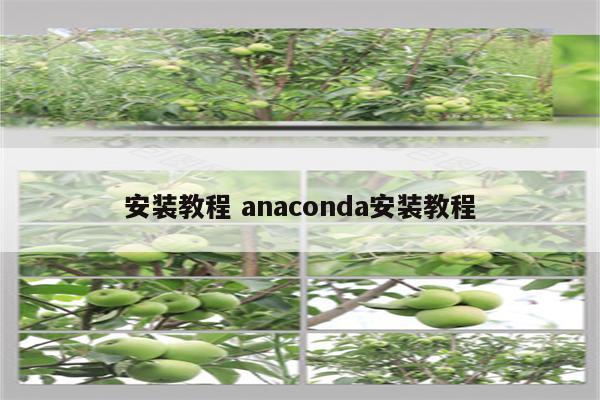 安装教程 anaconda安装教程