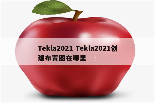 Tekla2021 Tekla2021创建布置图在哪里