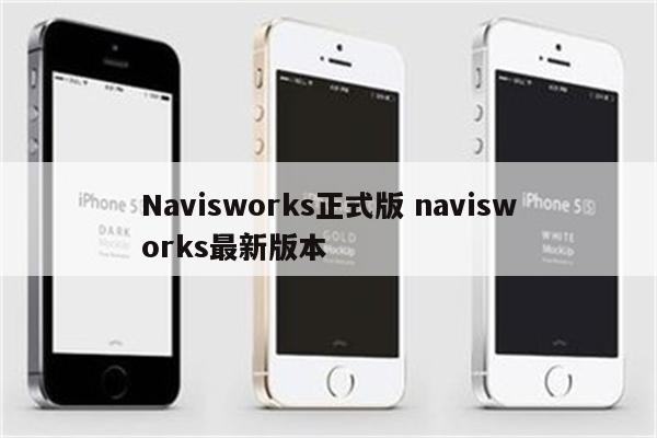 Navisworks正式版 navisworks最新版本