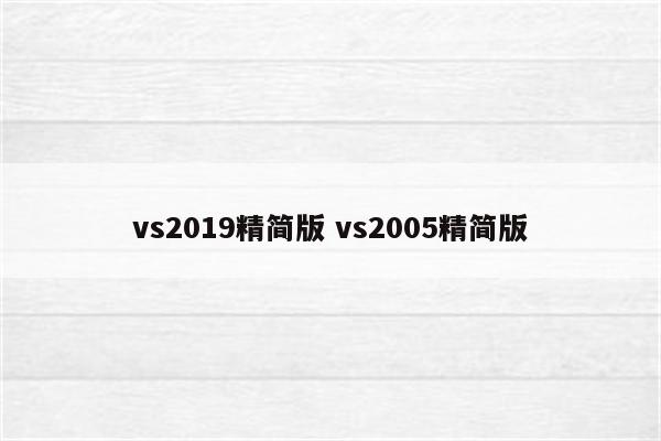 vs2019精简版 vs2005精简版