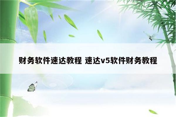 财务软件速达教程 速达v5软件财务教程