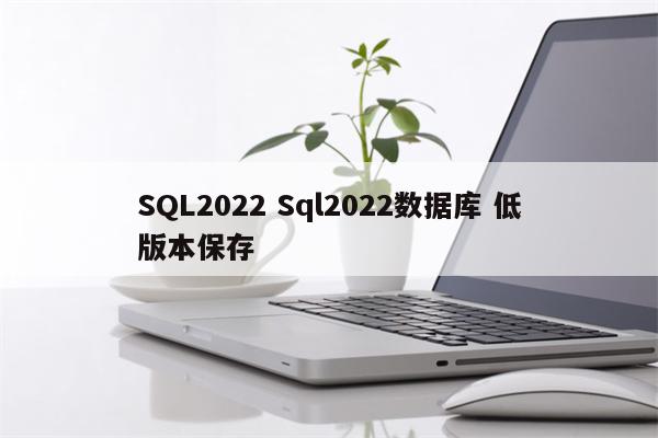 SQL2022 Sql2022数据库 低版本保存