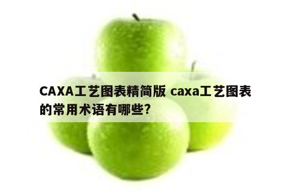 CAXA工艺图表精简版 caxa工艺图表的常用术语有哪些?