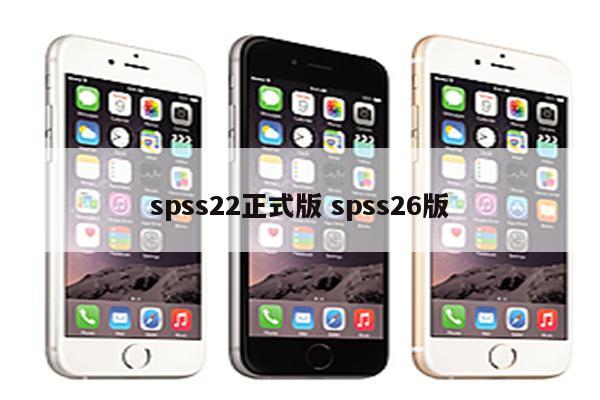 spss22正式版 spss26版