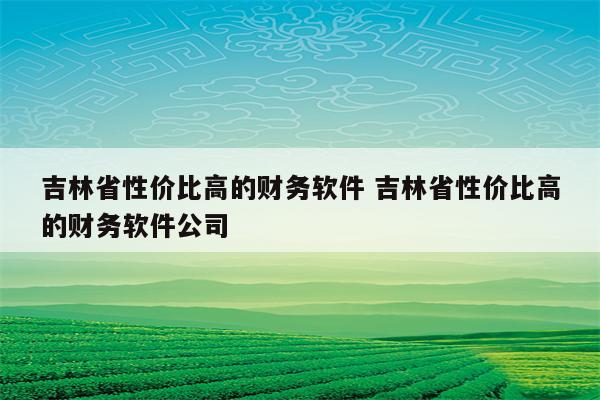 吉林省性价比高的财务软件 吉林省性价比高的财务软件公司