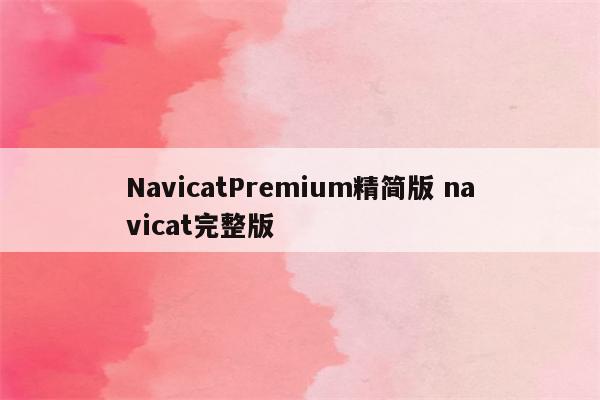 NavicatPremium精简版 navicat完整版