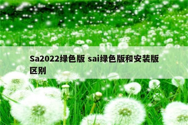 Sa2022绿色版 sai绿色版和安装版区别