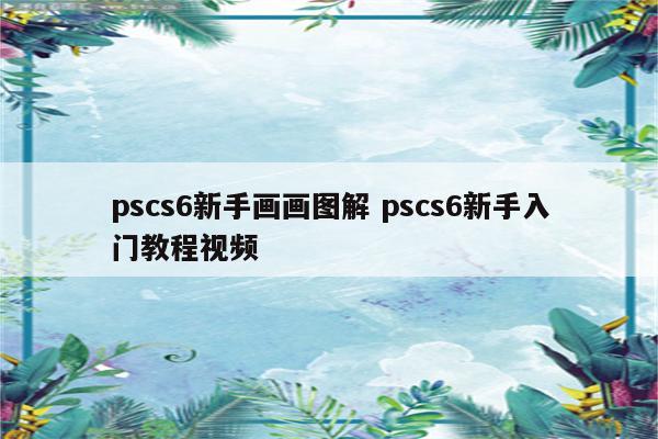 pscs6新手画画图解 pscs6新手入门教程视频