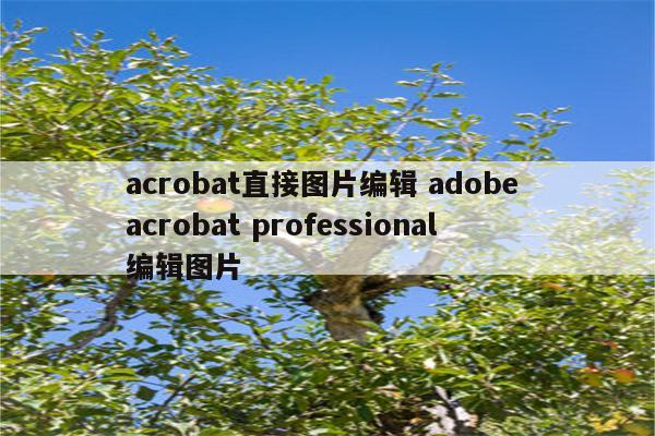 acrobat直接图片编辑 adobe acrobat professional编辑图片