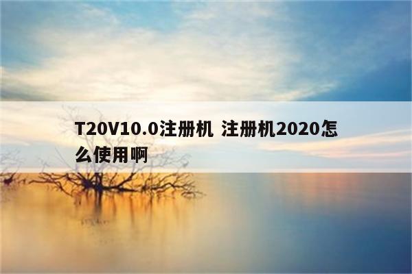 T20V10.0注册机 注册机2020怎么使用啊