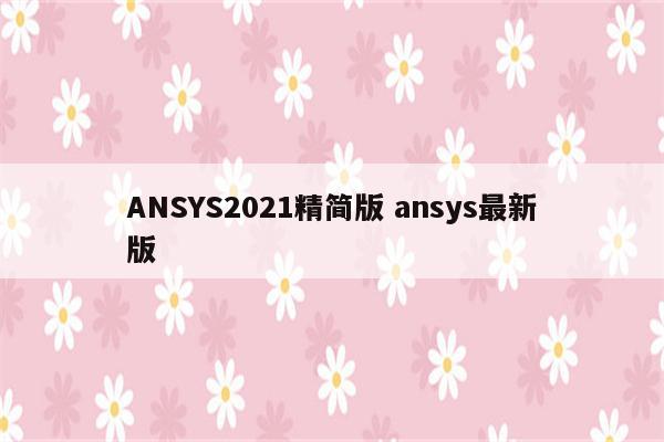 ANSYS2021精简版 ansys最新版