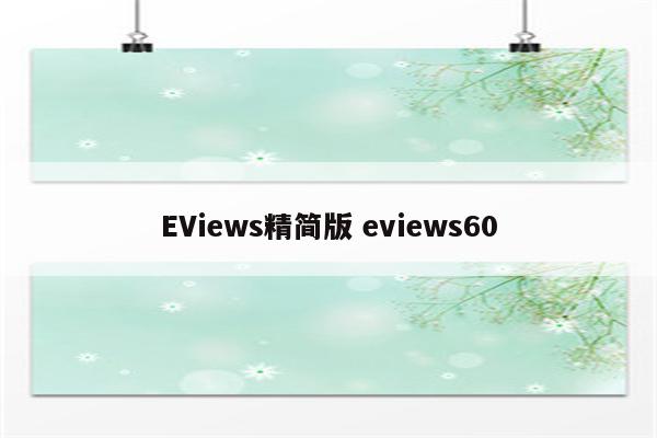 EViews精简版 eviews60