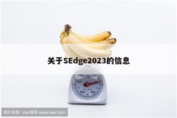 关于SEdge2023的信息