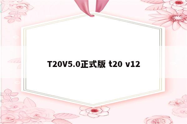 T20V5.0正式版 t20 v12