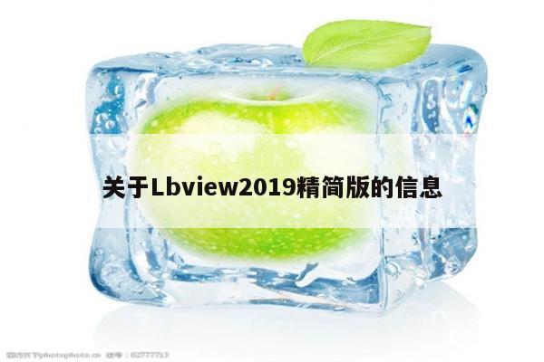 关于Lbview2019精简版的信息