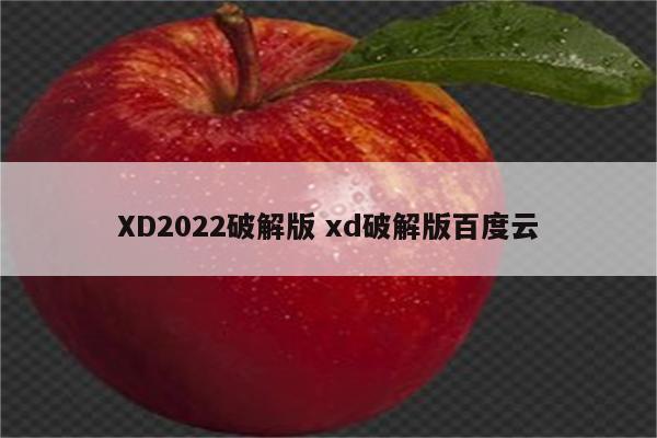 XD2022破解版 xd破解版百度云