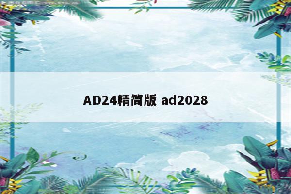 AD24精简版 ad2028