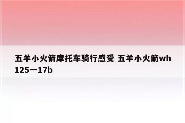 五羊小火箭摩托车骑行感受 五羊小火箭wh125一17b