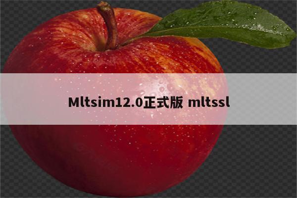 Mltsim12.0正式版 mltssl