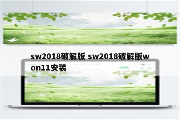 sw2018破解版 sw2018破解版won11安装