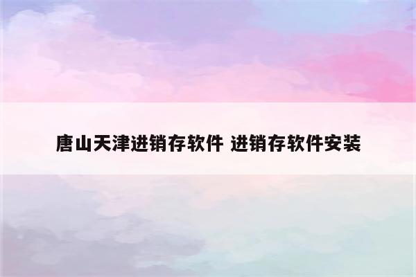 唐山天津进销存软件 进销存软件安装