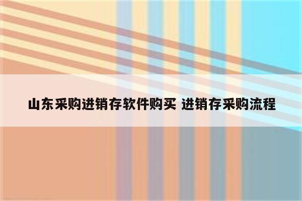 山东采购进销存软件购买 进销存采购流程