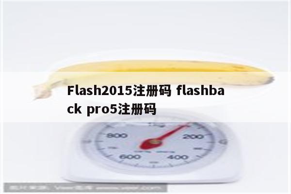 Flash2015注册码 flashback pro5注册码
