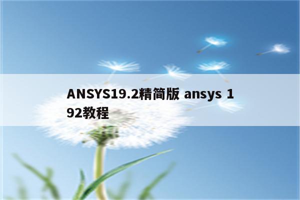 ANSYS19.2精简版 ansys 192教程