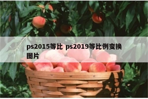 ps2015等比 ps2019等比例变换图片