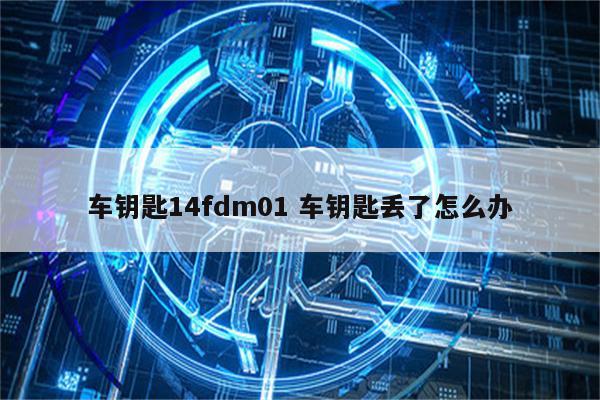 车钥匙14fdm01 车钥匙丢了怎么办