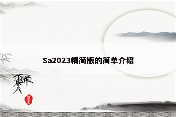 Sa2023精简版的简单介绍