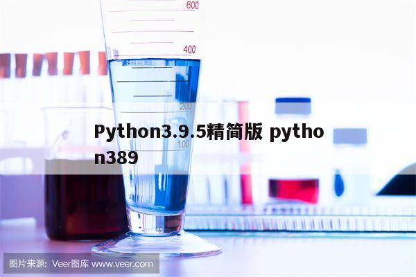 Python3.9.5精简版 python389