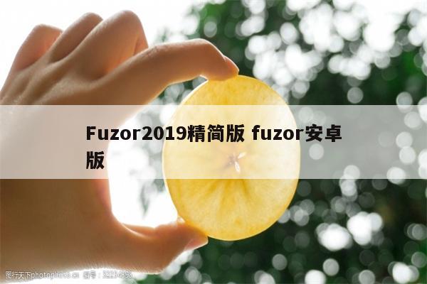 Fuzor2019精简版 fuzor安卓版