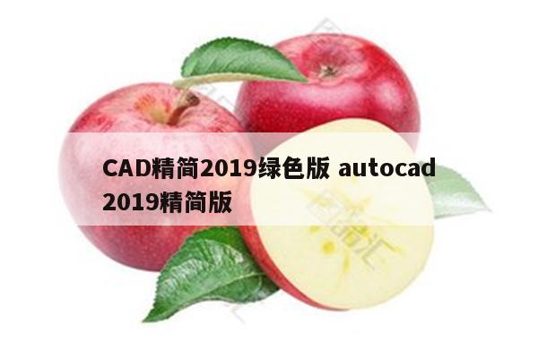 CAD精简2019绿色版 autocad2019精简版